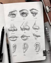 These brushes can only be used with the desktop versions of sketchbook at present. Sketchbook Tutorial Different Point Of View For Eyes Nose Lips Ears Art Drawing Sketch Art Drawings Sketches Art Drawings Sketches Pencil