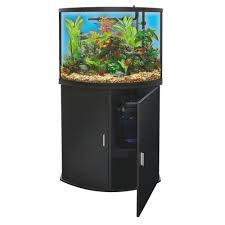 Top Fin Bowfront Aquarium Stand Ensemble 36 Gallon Fish Tank Supplies Aquarium Stand Aquarium