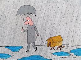 Наши идеи вам в помощь! Progulka Pikabu