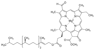 File Chlorophyll D Structure Svg Chlorophyll Chemistry Nutrition