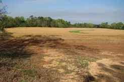 We did not find results for: Land For Sale Farms For Sale In Monroe County Alabama Lands Of America