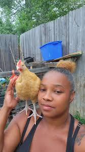 Christmas photos of baby