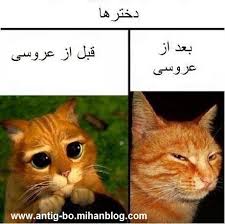 Image result for u202bعکس های ضد دختراu202c