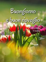 Pin Di Daniela Pellarin Su Saluto Il Nuovo Giorno Buongiorno Buongiorno Immagini Immagini