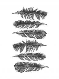 Free Falling 50x70 Cm Illustration Illustrations Art Nordicdesigncollective Art Feather Art Illustration