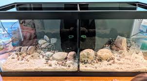 I'm trying to find a squishy noodle for my now empty (and fully cycled) tank. Wip Dual Betta Aquarium 20g Long With Kuhli Loach Tunnel Album On Imgur