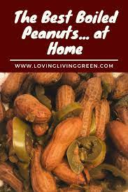 The World S Best Boiled Peanuts At Home Boiled Peanuts Peanut Recipes Boil Peanuts Recipe