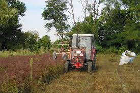 Check spelling or type a new query. Oko Bezugsadressen Samen Und Pflanzen Fur Den Garten Nabu