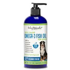 Best Omega 3 For Dogs Canine Omega 3 Fatty Acid Supplement