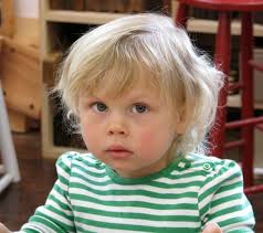 The Village Carpenter: 04/01/2010