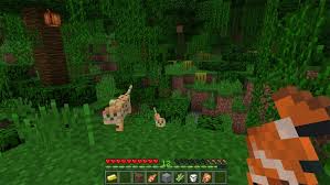 One of the most successful games over the last few years is also one of the most peculiar. Minecraft For Pc Windows 10 Download Latest Version 2021