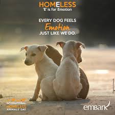 International Homeless Animals Day Is Observed On The Third Saturday In August Animals Pet Day Pet Holiday