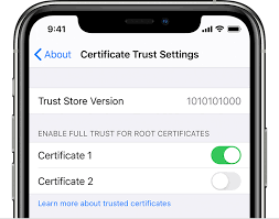 Trust Manually Installed Certificate Profiles In Ios And Ipados Apple Support