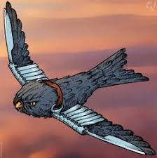 Результат пошуку зображень за запитом "стриж"