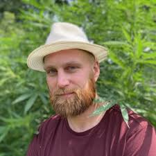 cannabis #pistildata #nycannabis