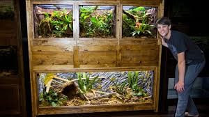 It must provide it a safe, comfortable home and allow your two (2) stackable reptile enclosures/ cages, custom build (60l x 24h x 24w). Diy Plywood Reptile Enclosure Large Version Youtube