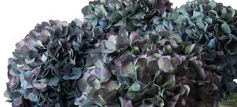 Hydrangea flowers are also perfect for drying. Hydrangea Flower Delivery Floral Centrepieces In Vases Flowerbx Uk