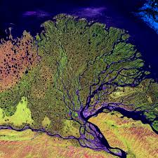 Doch wissenschaftler warnen vor der erstmals in indien. Flussdelta Wikipedia