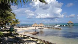 Sam vanegas is popularly known for being the girlfriend of famous british american programmer john mcafee. A Bizarre Visit To John Mcafee S Pleasure Palace In Belize Cnn