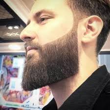 Conheca Os Principais Estilos De Barba Grande Para 2021 Sheik Barber