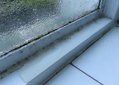 Mildew is just mold in its early stage. 55 Best Condensation And Mould Ideas Improve Indoor Air Quality Molding Condensation