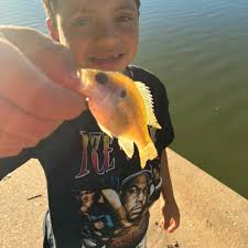 ᐅ Lobo Lake fishing reports🎣• Levelland, TX (United States) fishing