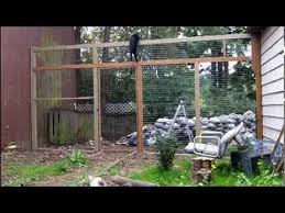 My cat spends most of the day in the neighbor's back yard playing with their dog. How To Keep Your Cats From Climbing A Fence They Can T Climb This Cat Proof Fence Cat Proofing Cat Fence Cat House Diy