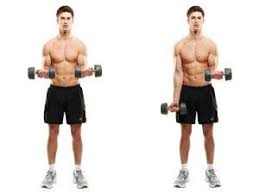 workout tips for beginners panosundaki pin