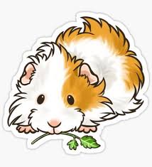 So können kinder ganz leicht schleim selbst ausmalbilder meerschweinchen kaninchen posted on october 13 2020 by malvorlagen fur kinder. 29 Ausmalbilder Ideen Ausmalbilder Ausmalen Bilder
