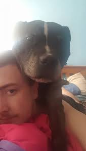 Currently with Dogs in Salford