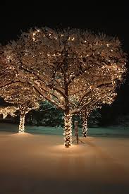 Walkway trees look beautiful in any landscape, or use a full size tree outside an office location. Christmas Tree Outdoor Lighting Id Lights