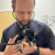 We saw so many adorable faces this week! We wish we could share them all,  but here's a handful! Thank you to everyone who attended our free rabies  event last weekend, all