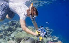 How To Get A Career In Underwater Photography?