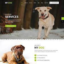 Best Pet Website Template Pet Businesses Pet Shop Dog Shop
