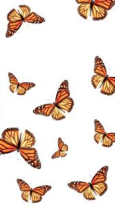 The ultimate collection of aesthetic phone wallpapers iphone. Laptop Cute Aesthetic Butterfly Wallpapers Novocom Top
