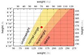 29 high quality model height weight chart