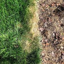 Sanchez landscaping svc is a landscaping specialist that offers tree removal, tree trimming and more. Sanchez Landscape Service 11 Photos Landscaping 1758 Harrison St Santa Clara Ca Phone Number