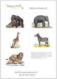 Wer diese spur hinterlassen hat. Hier Findest Du Vorlagen Fur Die Spielidee Tiere Zuordnen Zum Ausdrucken Und Laminieren Klicke Auf Die Karten Um Sie Herunt Tiere Tiere Wild Bauernhof Tiere