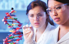 Multiple Myeloma Overview: