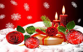 Salji putih dan mawar merah sleeping beauty. Wallpaper Mawar Natal Hd Unduh Gratis Wallpaperbetter