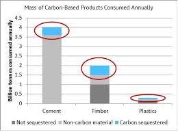 ccus  everything and the carbon sink