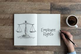 Online Legal Opinion Find A Lawyer From Vakilpro Com Human Rights Human Rights Law Study Program