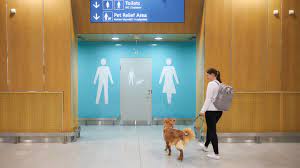 Maybe you would like to learn more about one of these? Flughafen Helsinki Hat Jetzt Neue Toiletten Fur Haustiere Stern De