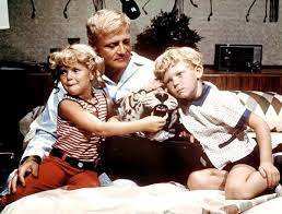 Favorite Classic Tv Shows Family Affair Tv Show Family Affair Anissa Jones