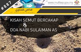 Selain guna petua halau semut yang biasa, apa salahnya guna doa. Pejabat Mufti Wilayah Persekutuan Al Kafi 887 Kisah Semut Bercakap Dan Doa Nabi Sulaiman As