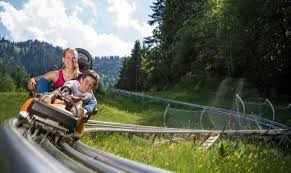 Alpine Coaster Alpine Coaster Oberammergau Cool Places To Visit
