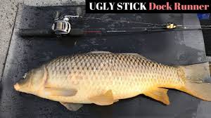 Our experience is that parents seem to think their baby has outgrown the deluxe size before baby is uncomfortable. Ugly Stick Dock Runners Vs Carp Youtube