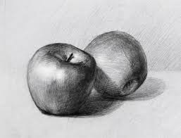 Start by picking an easy object to draw such as a ball, a book, a box, etc. Pin On Still Life