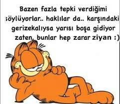 Ares Baler Adli Kullanicinin Garfield Panosundaki Pin Komik Komik Alintilar Karikatur