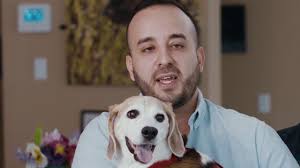 Chi Dog Video Series